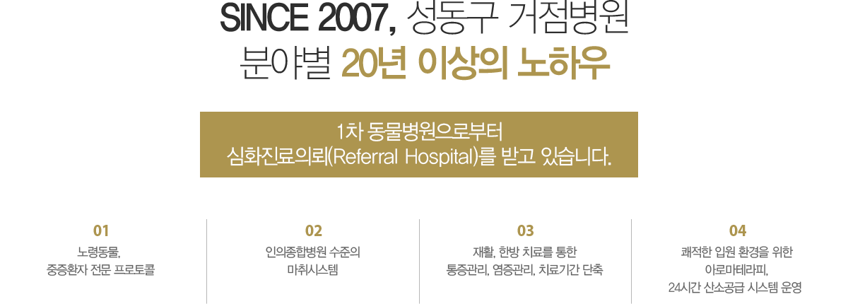 24시센트럴동물메디컬센터 병원소개