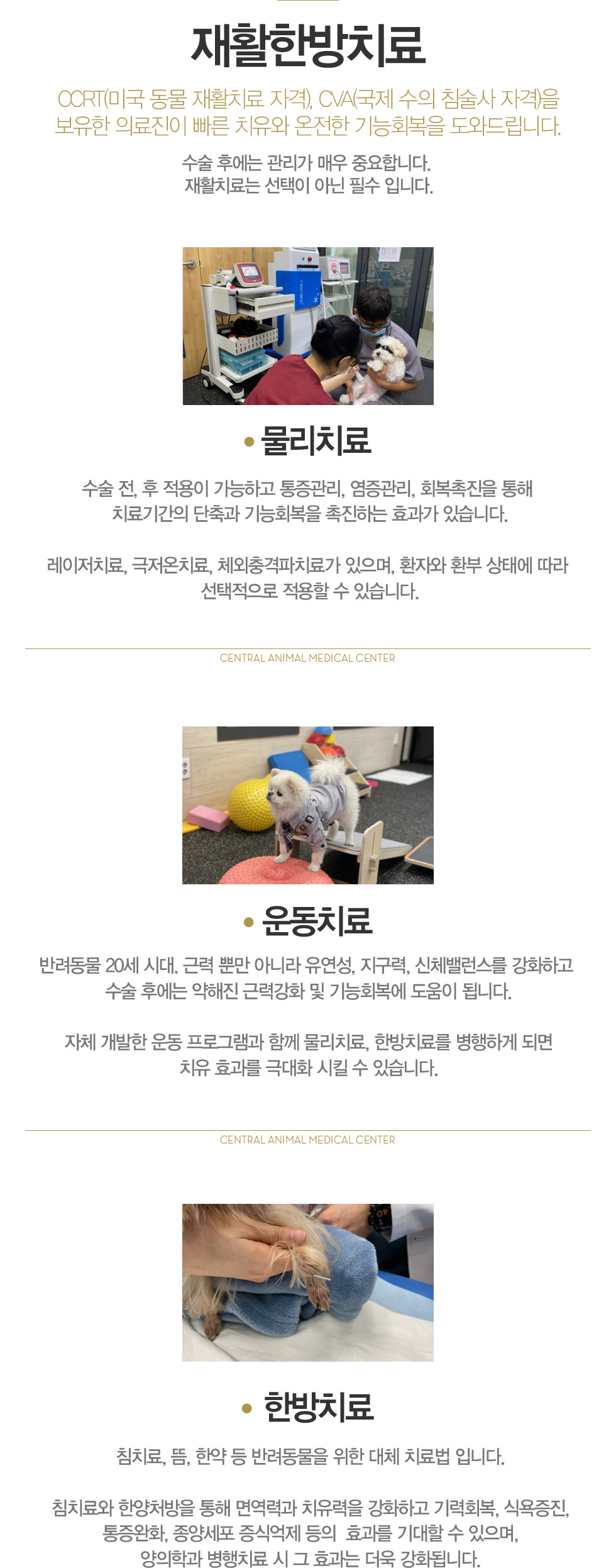 재활한방치료